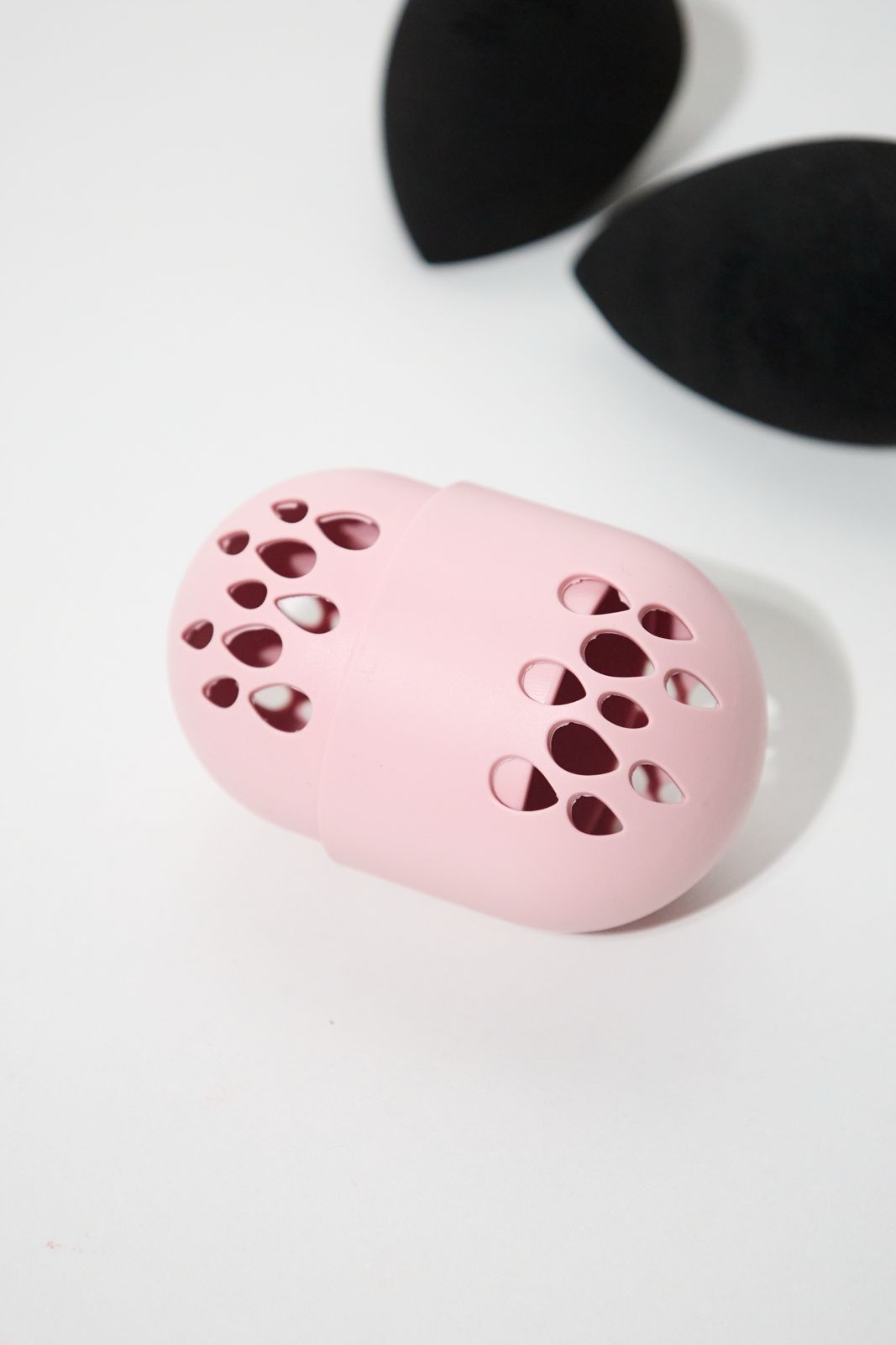 Sponge Case