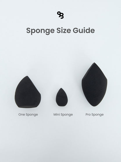 Pro Sponge