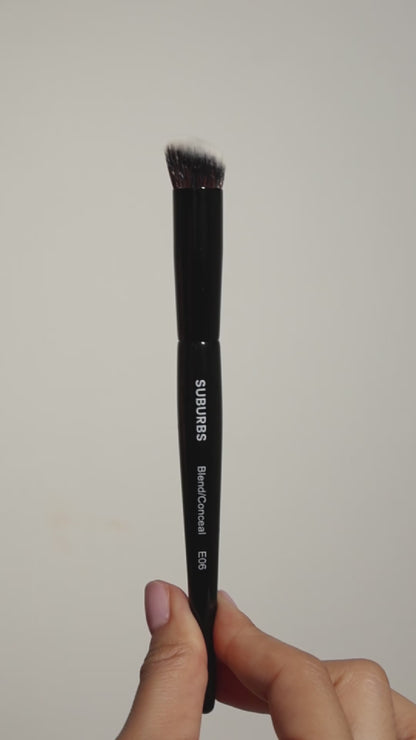 E06 Angled Precision Brush
